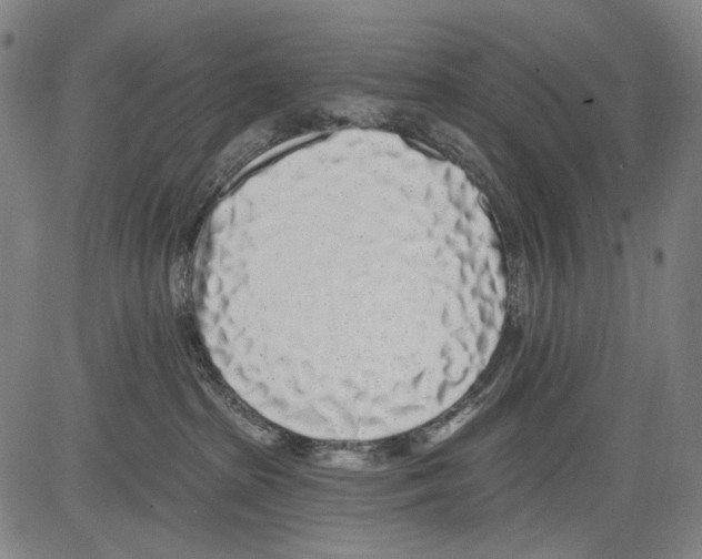 X0000081600285200702121557