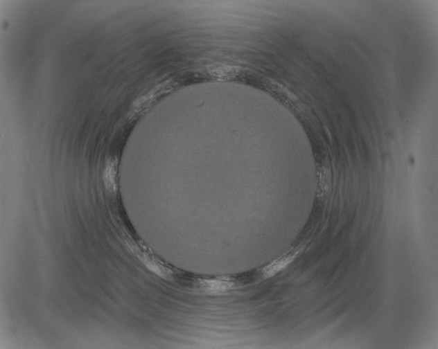 X0000081600286200702121557