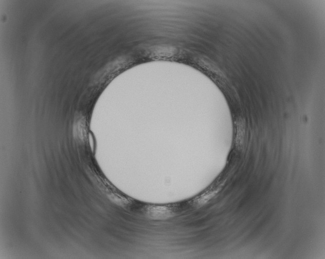 X0000081600287200702121557