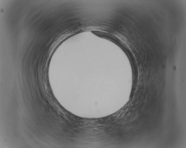 X0000081600289200702121556