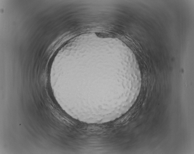 X0000081600290200702121556