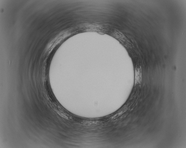 X0000081600291200702121556