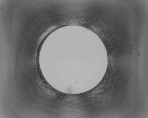 X0000081600292200702121556