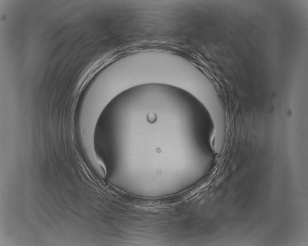 X0000081600293200702121556