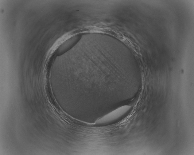 X0000081600295200702121556