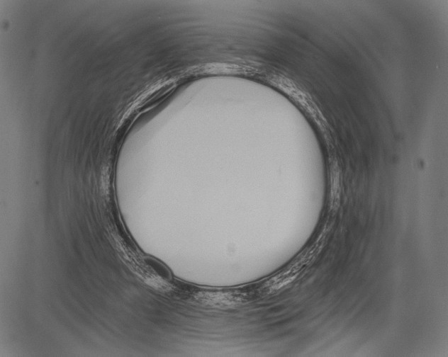 X0000081600297200702121556