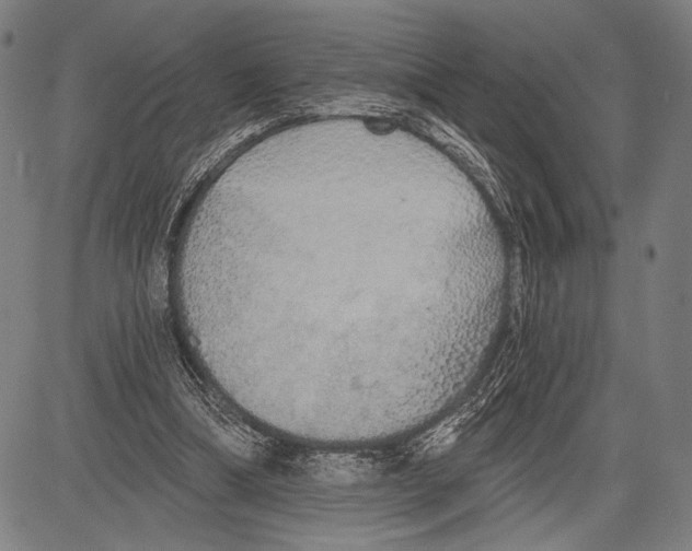 X0000081600298200702121556