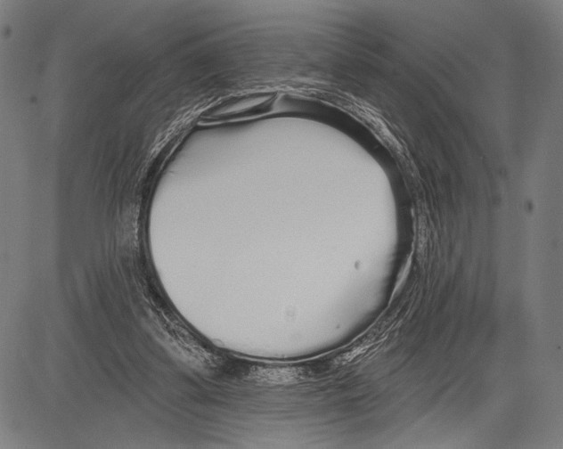 X0000081600299200702121556