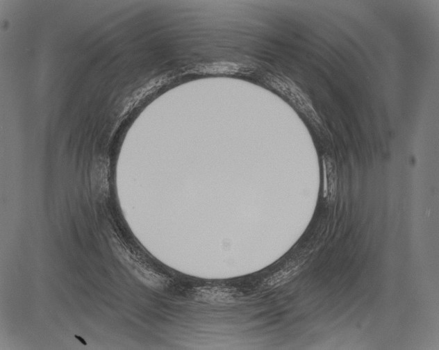 X0000081600300200702121556