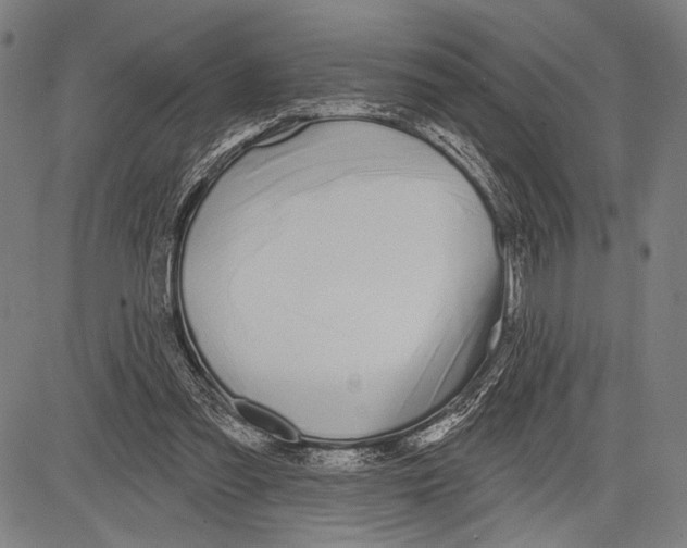 X0000081600301200702121556