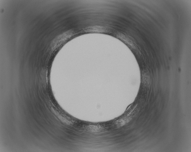 X0000081600302200702121556