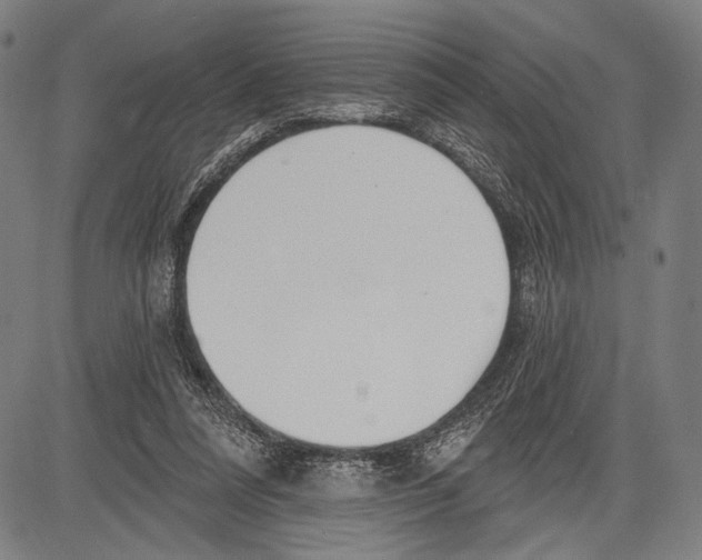 X0000081600304200702121556