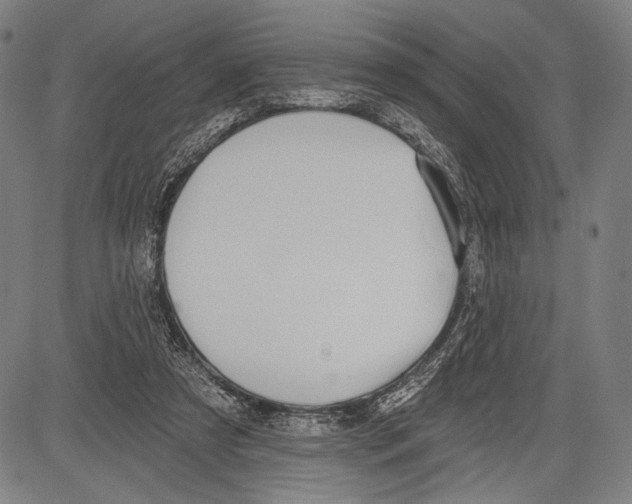 X0000081600305200702121556