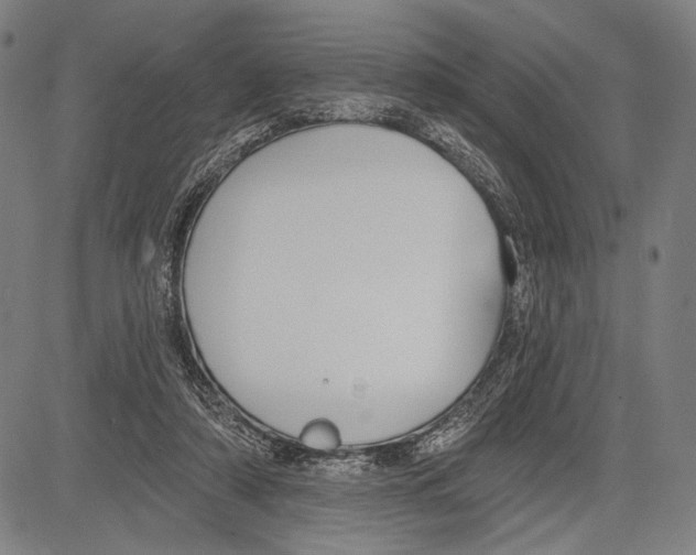 X0000081600306200702121556