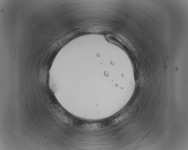 X0000081600307200702121556