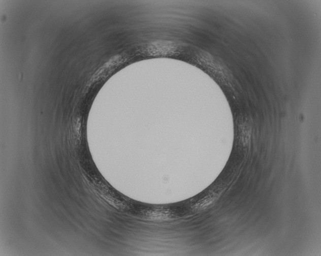 X0000081600308200702121556