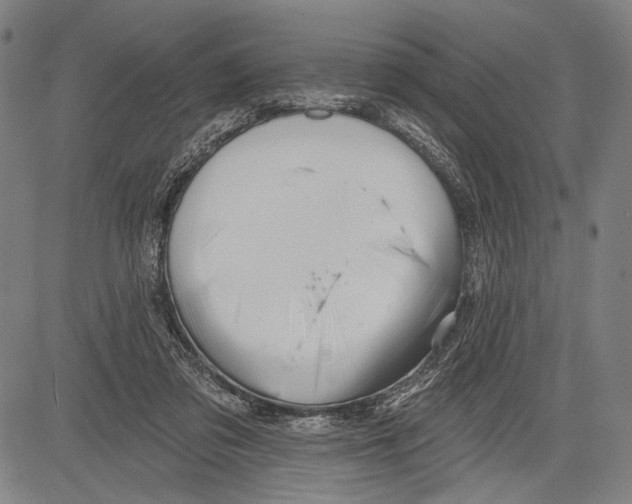 X0000081600309200702121556