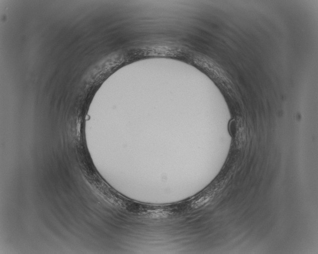 X0000081600310200702121556