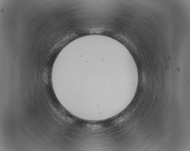 X0000081600311200702121556