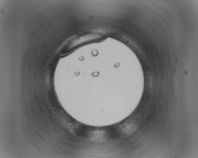 X0000081600312200702121556