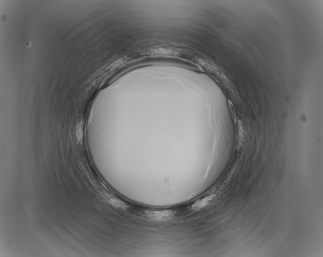 X0000081600313200702121556