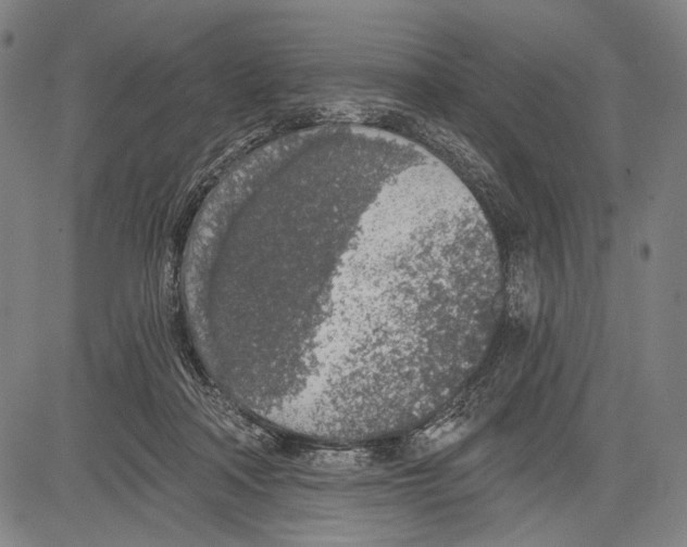 X0000081600314200702121556