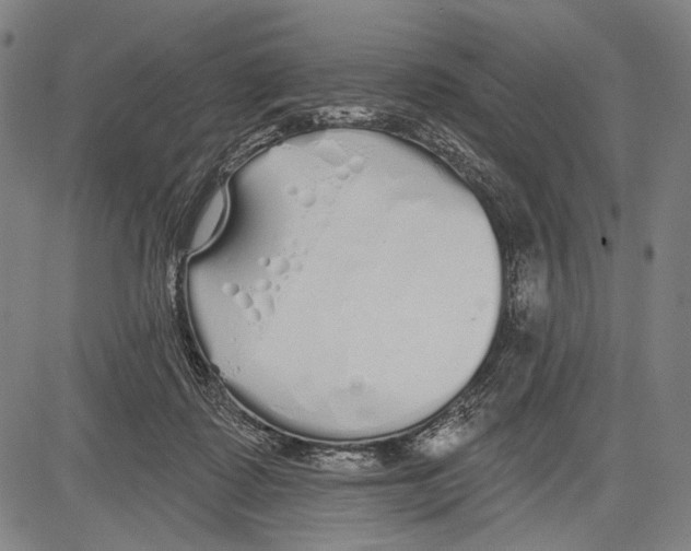 X0000081600315200702121556