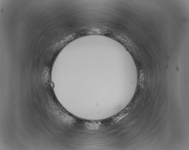 X0000081600318200702121556