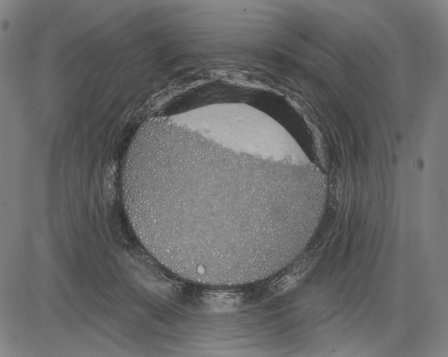 X0000081600319200702121556