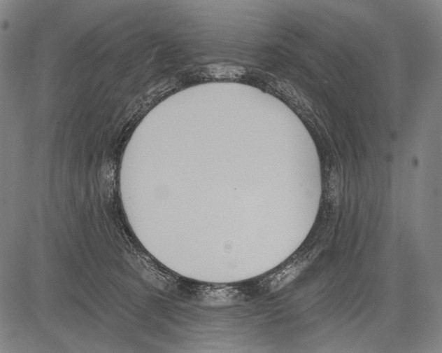 X0000081600321200702121556