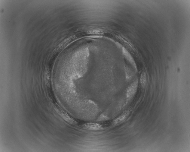 X0000081600322200702121556