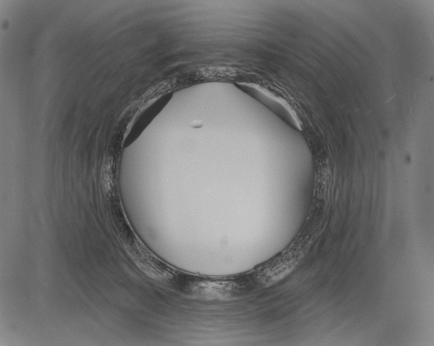 X0000081600323200702121556