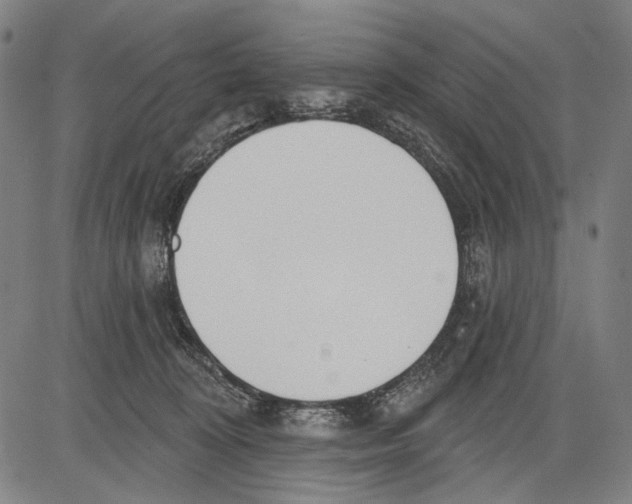 X0000081600324200702121556