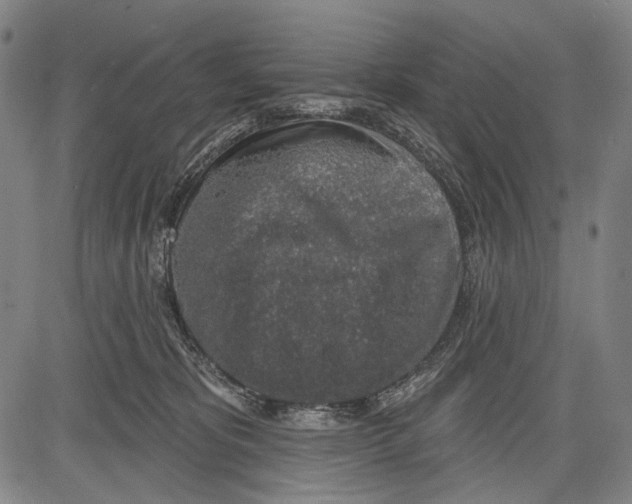 X0000081600325200702121556