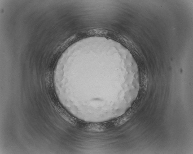 X0000081600326200702121556