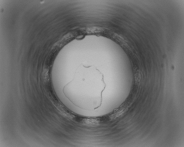 X0000081600327200702121556