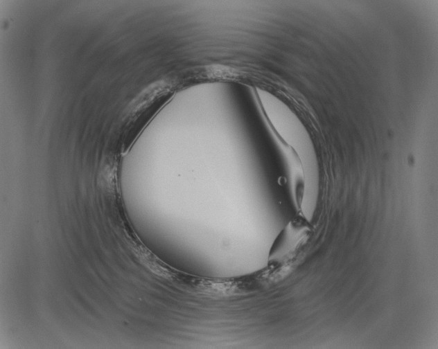 X0000081600329200702121555