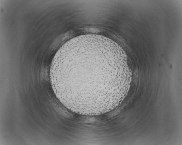 X0000081600330200702121555