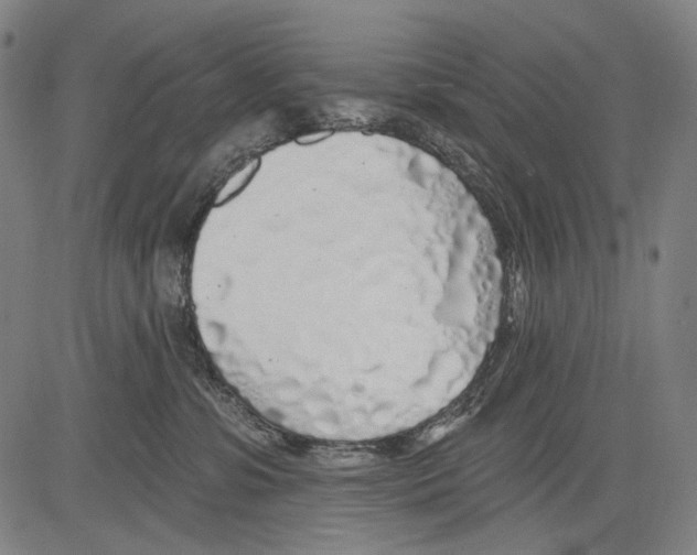 X0000081600331200702121555