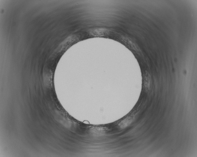 X0000081600332200702121555