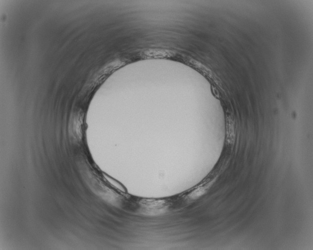 X0000081600334200702121555