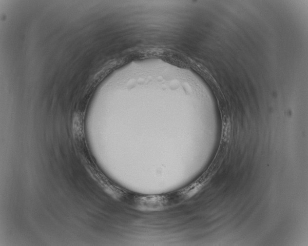 X0000081600335200702121555