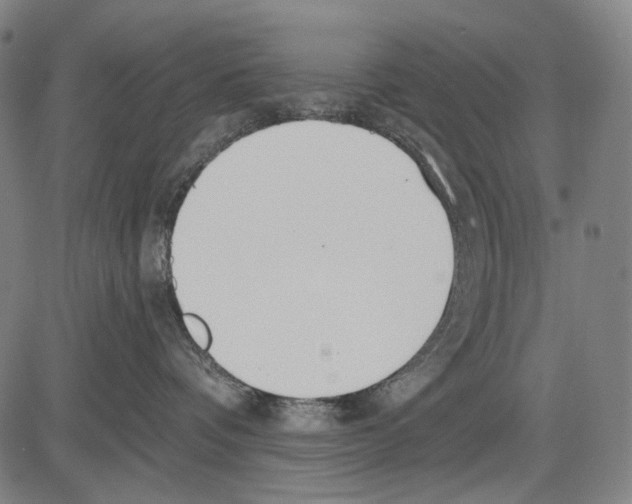 X0000081600336200702121555