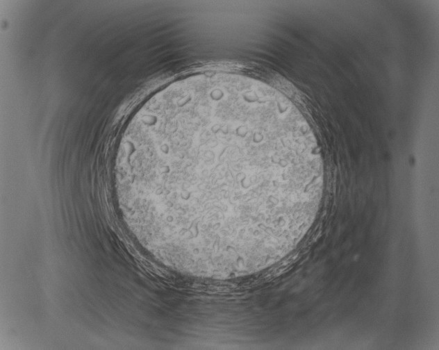 X0000081600337200702121555