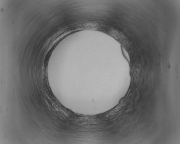 X0000081600338200702121555