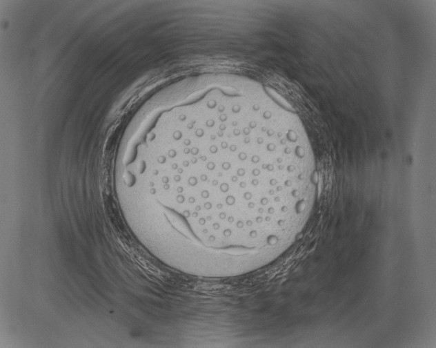 X0000081600339200702121555