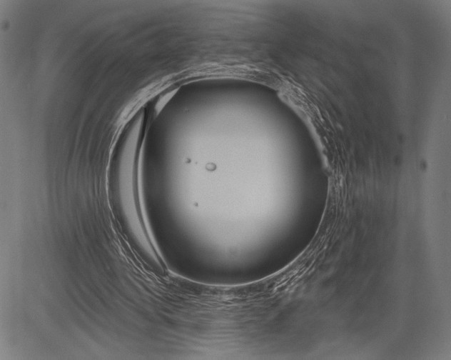 X0000081600340200702121555