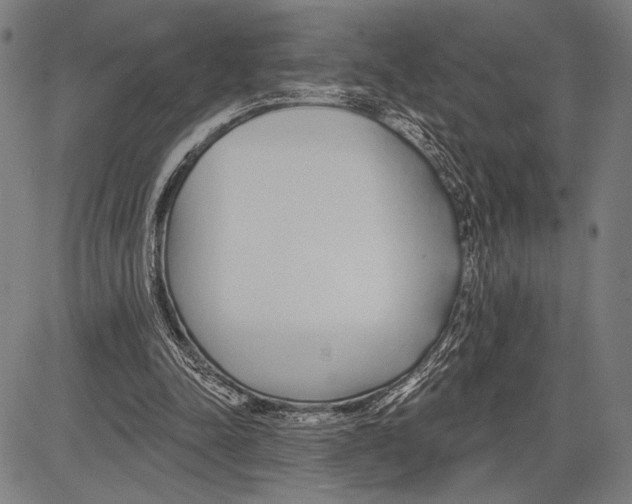 X0000081600342200702121555