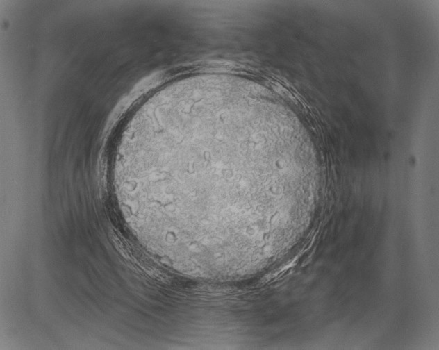 X0000081600343200702121555