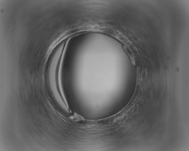 X0000081600344200702121555